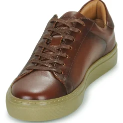 Online Pellet - PEDRO Veaulissebrossecognac