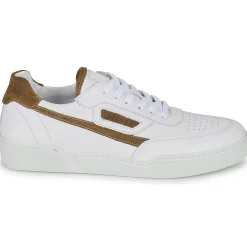 Pellet - RAPHAEL MIXCUIRMARRON Outlet