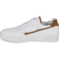 Pellet - RAPHAEL MIXCUIRMARRON Outlet