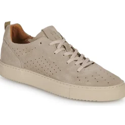 Pellet - SANDRON Velourscraie Best