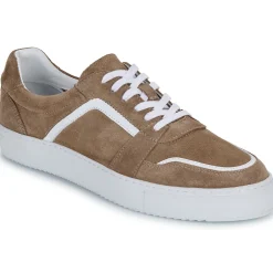 Sale Pellet - SANDRY