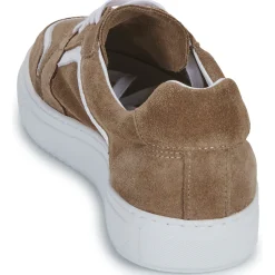 Sale Pellet - SANDRY