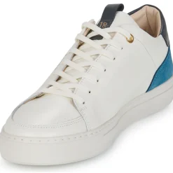 Discount Pellet - SIMON