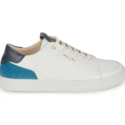 Discount Pellet - SIMON