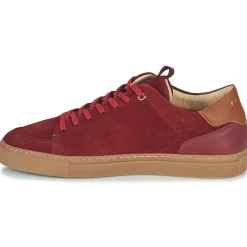 Pellet - SIMON VELOURSBORDEAUX Clearance