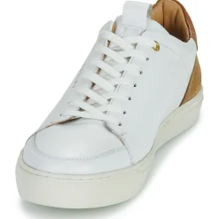 Pellet - SIMON Online