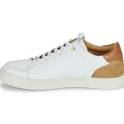 Pellet - SIMON Online