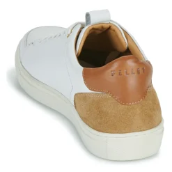 Pellet - SIMON Online