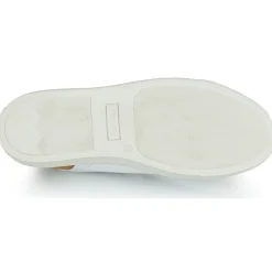 Pellet - SIMON Online