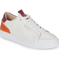 Discount Pellet - SIMON