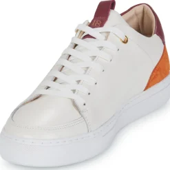 Discount Pellet - SIMON