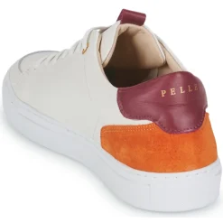 Discount Pellet - SIMON