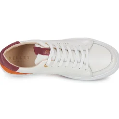 Discount Pellet - SIMON