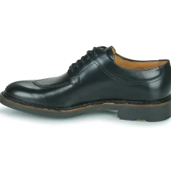 Pellet - VANESSA Veaupolidonoir Hot