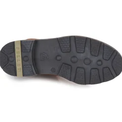 Pellet - VICTOIRE Veaupullupbrandy Best