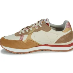 Pepe jeans - BRIT PRINT LUX W New