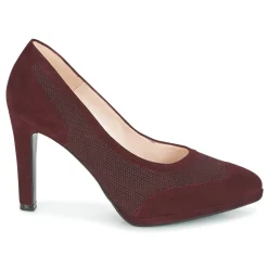 Peter Kaiser - HERNA