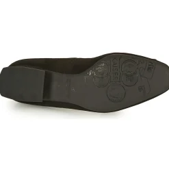 Peter Kaiser - ZWONIZ