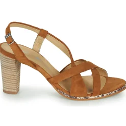 Philippe Morvan - JUDE Marron New