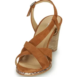 Philippe Morvan - JUDE Marron New