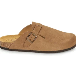 Online Plakton - BLOG AFELPADO Marron