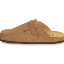 Online Plakton - BLOG AFELPADO Marron