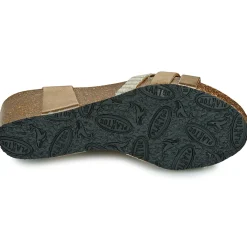 New Plakton - BRIDGE Doré