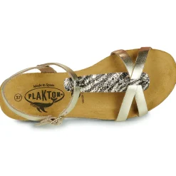 Plakton - FRAN COCO Doré Best