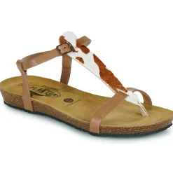 Plakton - FRAN ZOUK Cognac Online