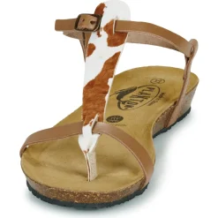 Plakton - FRAN ZOUK Cognac Online