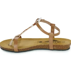 Plakton - FRAN ZOUK Cognac Online