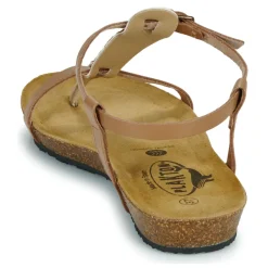 Plakton - FRAN ZOUK Cognac Online