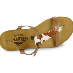 Plakton - FRAN ZOUK Cognac Online