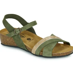 Clearance Plakton - NORTE