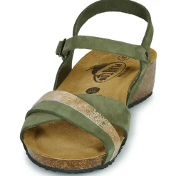 Clearance Plakton - NORTE