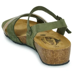 Clearance Plakton - NORTE