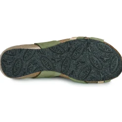 Clearance Plakton - NORTE