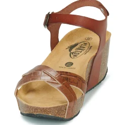 Plakton - SO FINAL Cognac Online