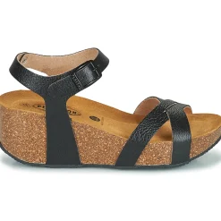 Plakton - SO_FINAL Noir