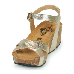 Plakton - SO FINAL Doré Discount