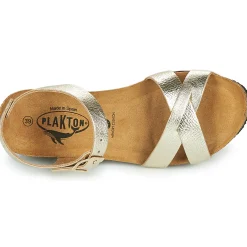 Plakton - SO FINAL Doré Discount