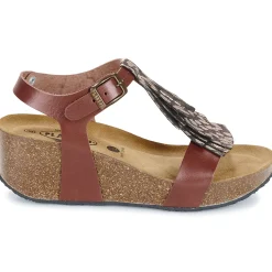 Plakton - SO TONKA Marron Best