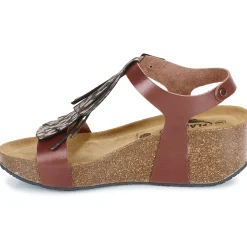 Plakton - SO TONKA Marron Best