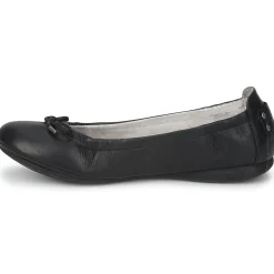 Online PLDM by Palladium - MOMBASA CASH Noir