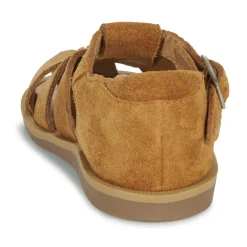 Pom d'Api - POPPY DADDY