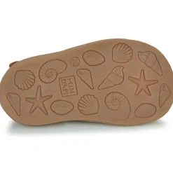 Pom d'Api - POPPY DADDY