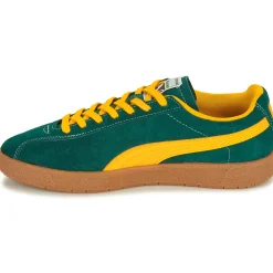 Puma - Delphin