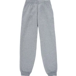 Discount Puma - ESS NO1 LOGO SWEATPANTS Gris