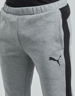 Puma - EVOSTRIPE CORE FZ PANT Online