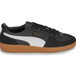 Hot Puma - Palermo Lth